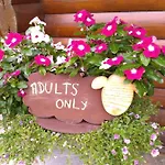 Au Paradou Du Bucheron Adults Only 3*