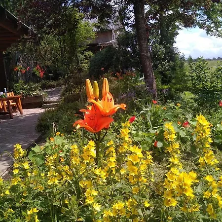 Au Paradou Du Bûcheron Adults Only 3* Lessive