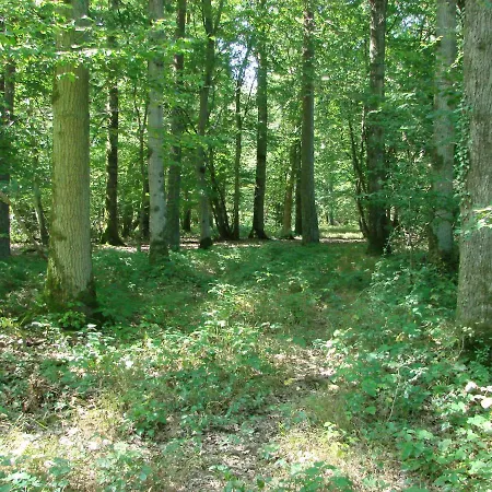 Au Paradou Du Bucheron Adults Only